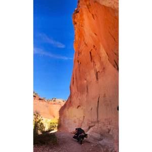 Meet your Posher, Adam